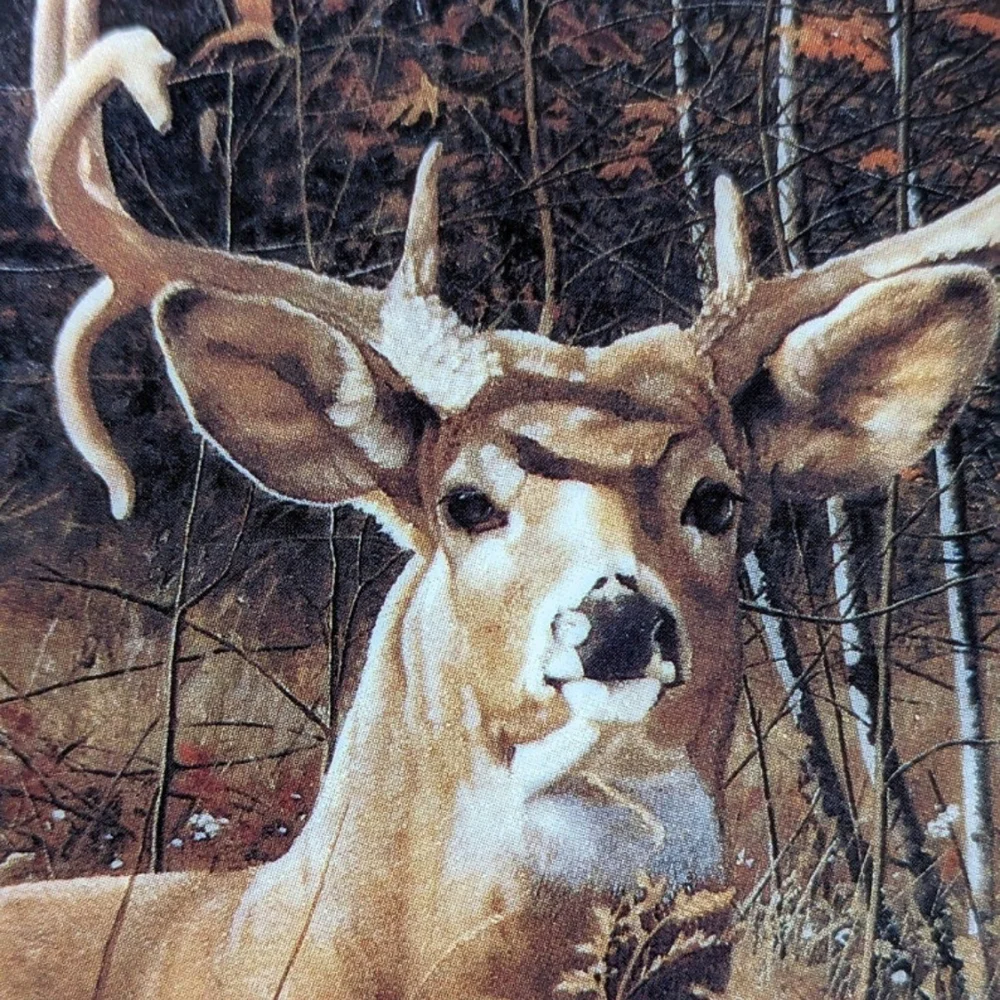 Vintage 1992 Fall Retreat, Pride of the Wilderness, plate by Bob Travers - Picture 3 of 9